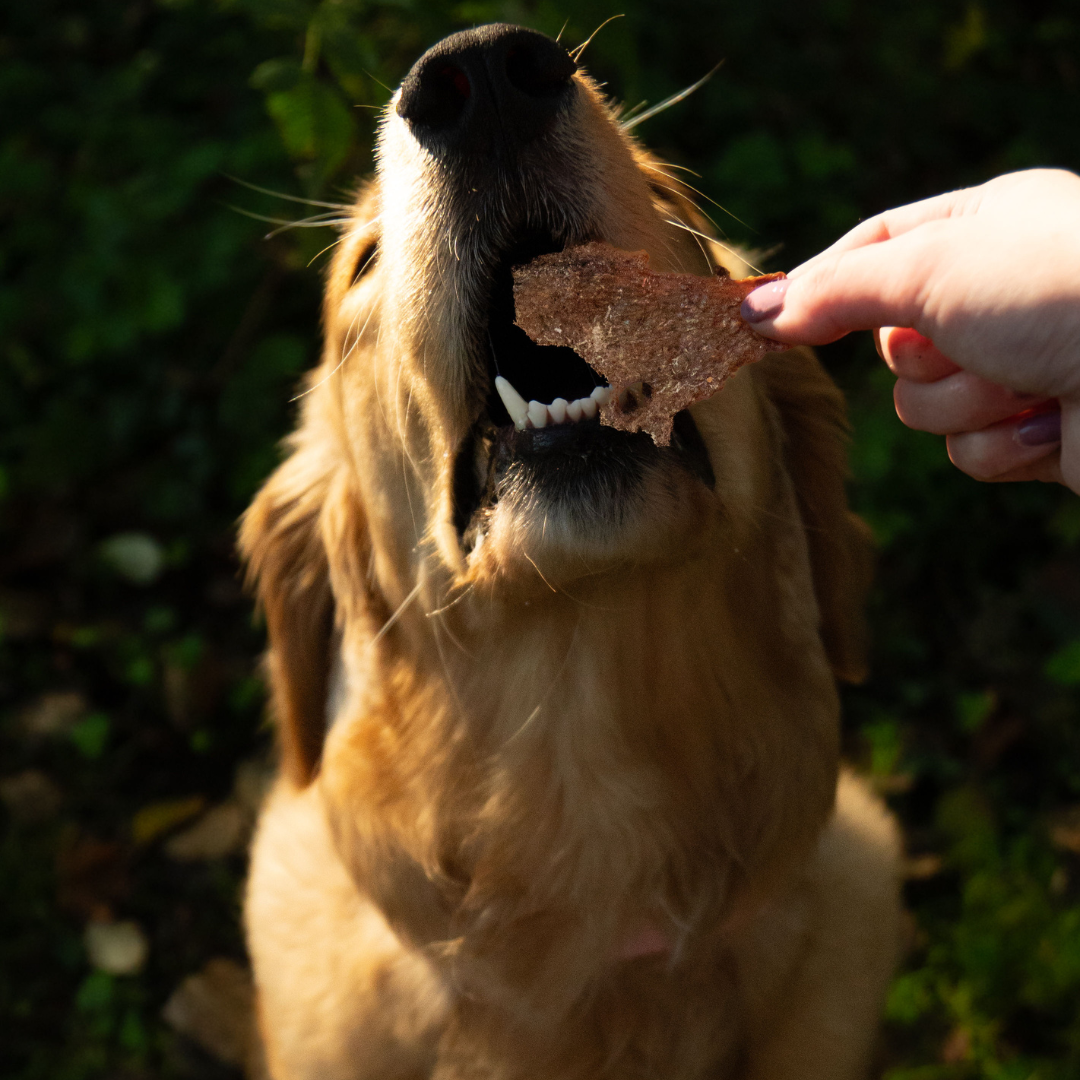 Rawbone - Wholesale Pet Treats - Dog - Rawbone Grass Fed Beef Liver Krisps – 75 g2