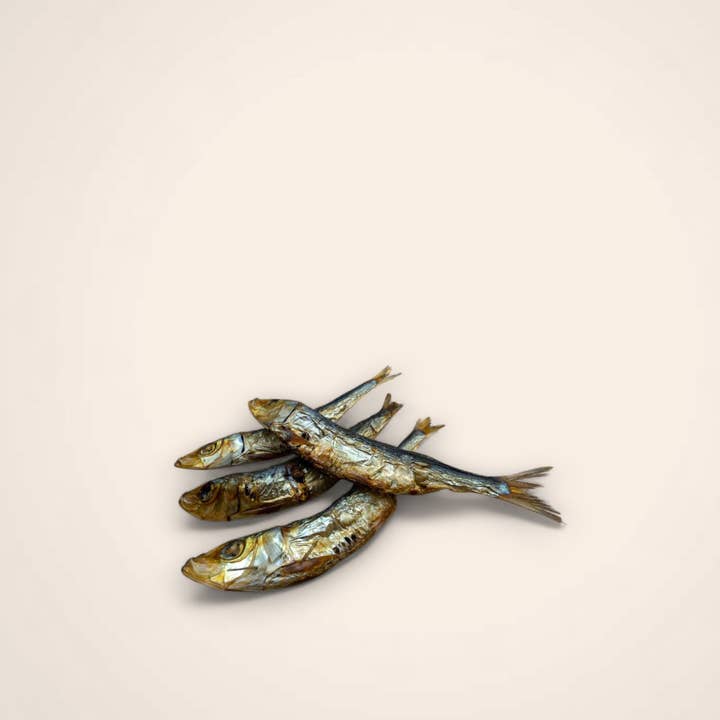 Sardine per la vendita all'ingrosso da parte di Woofing Wonders