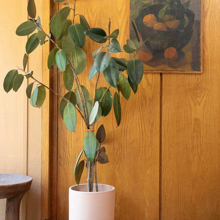 Upton - Wholesale Plant Pot Stand - REED - Rose | Plant Stand2