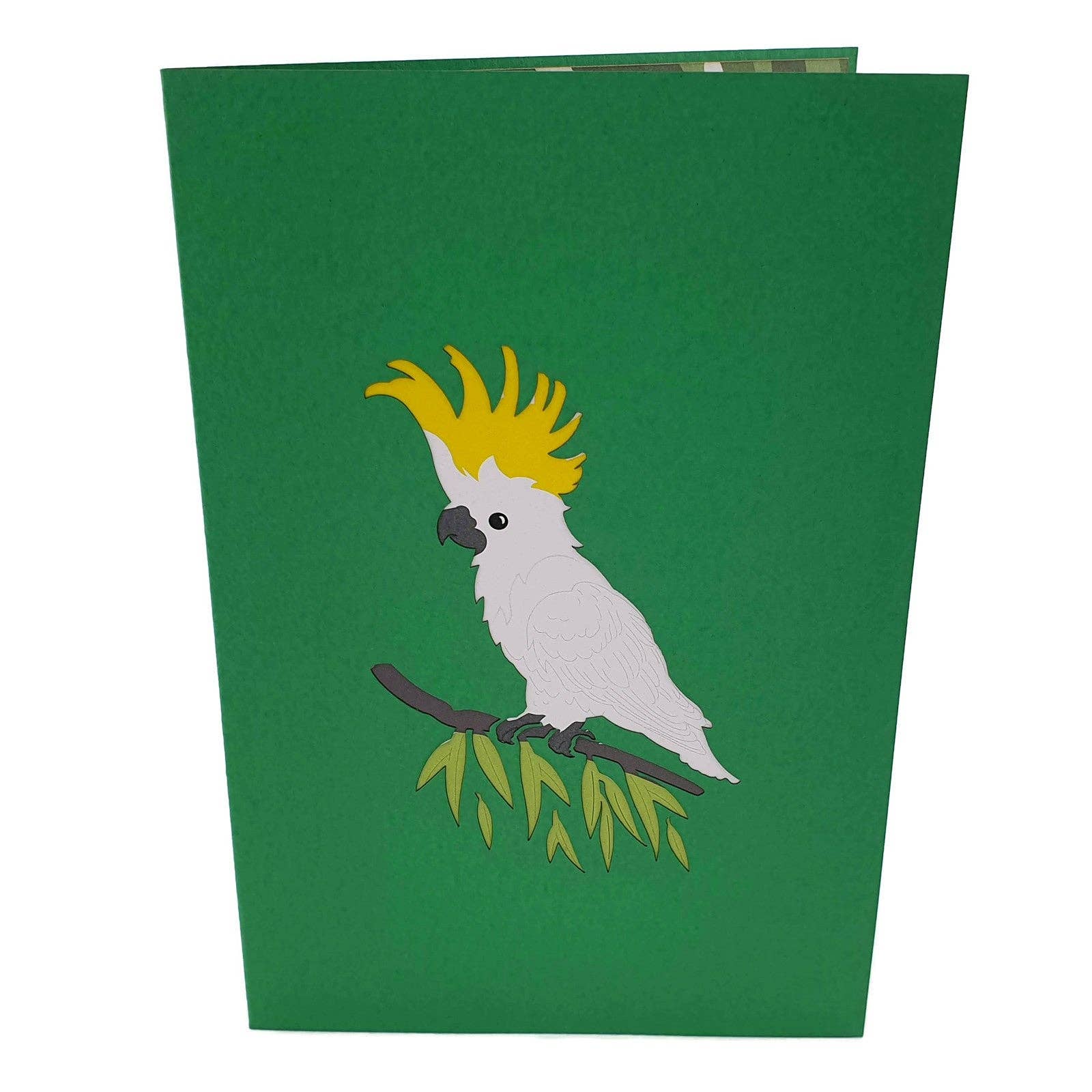 Color Pop Cards – Engroshandel Hverdagshilsen kort – Australske kakadue 3D Pop Up Lykønskningskort2