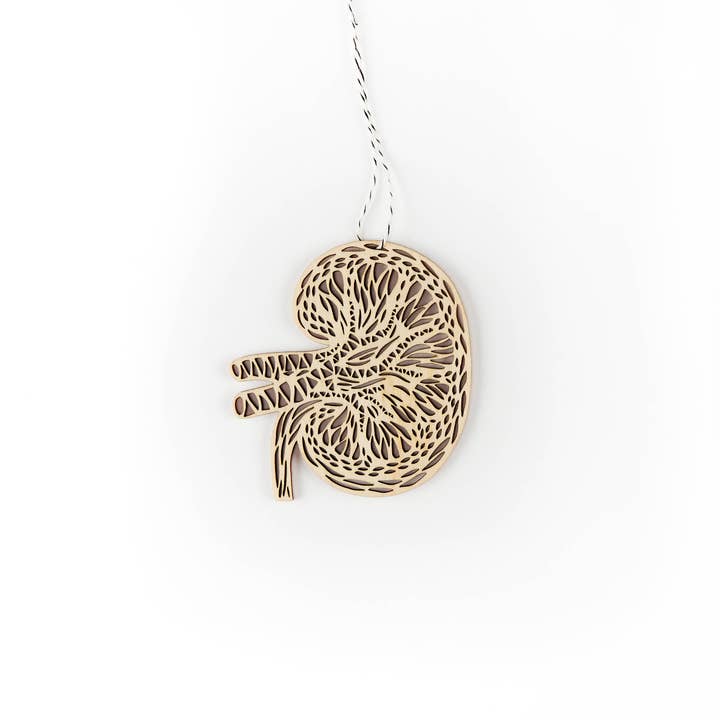 Anatomical Kidney Wooden Ornament for wholesale by Light + Paper