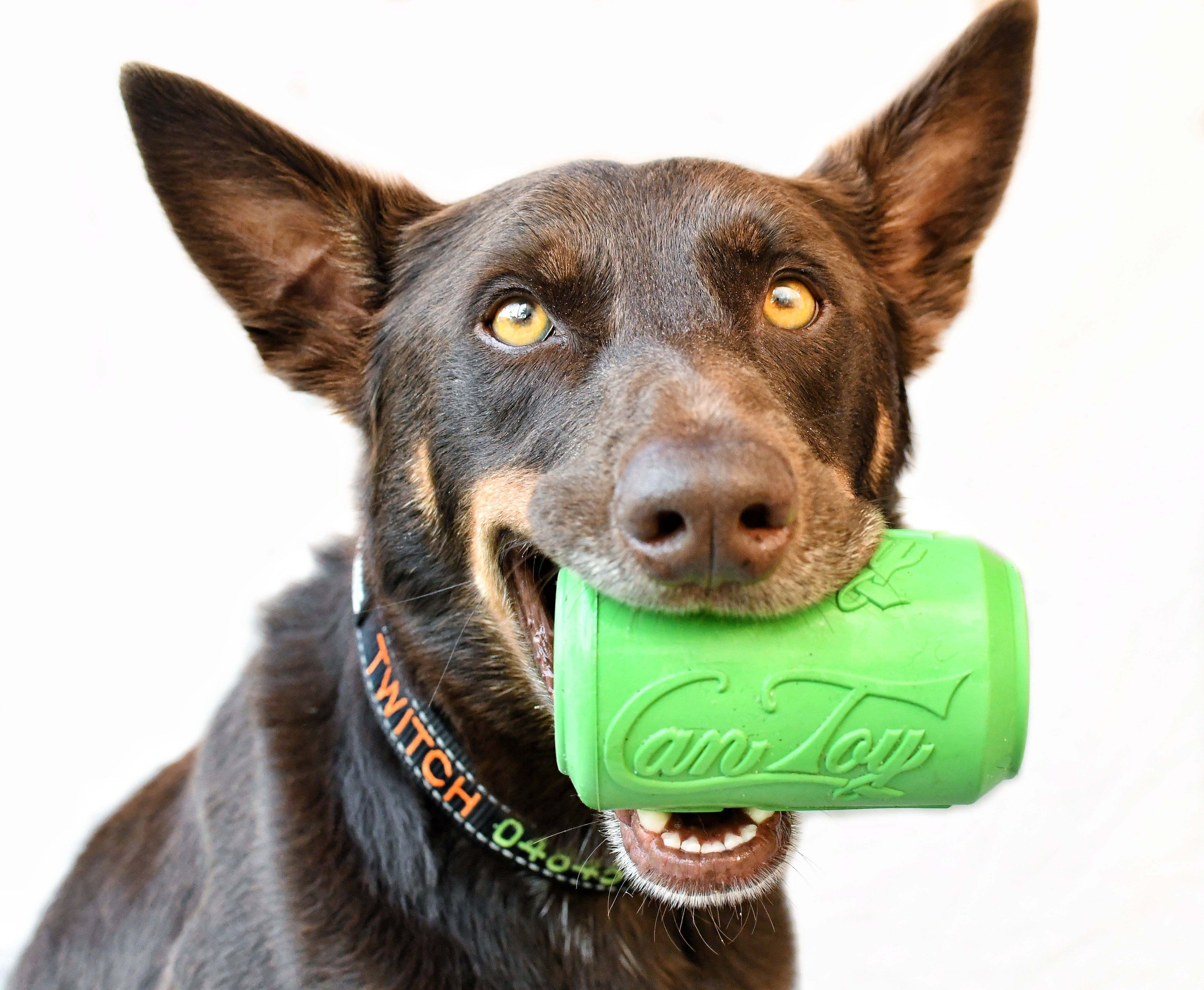 Rover Pet Products - Vente Jouet à mâcher – chien - Canette Toy20