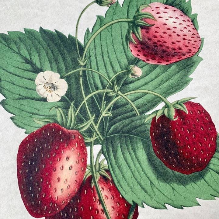 Magnifique Hearts - Wholesale Art Print - Vintage Style Strawberries Art Prints, Wall Decor, 2 Designs8