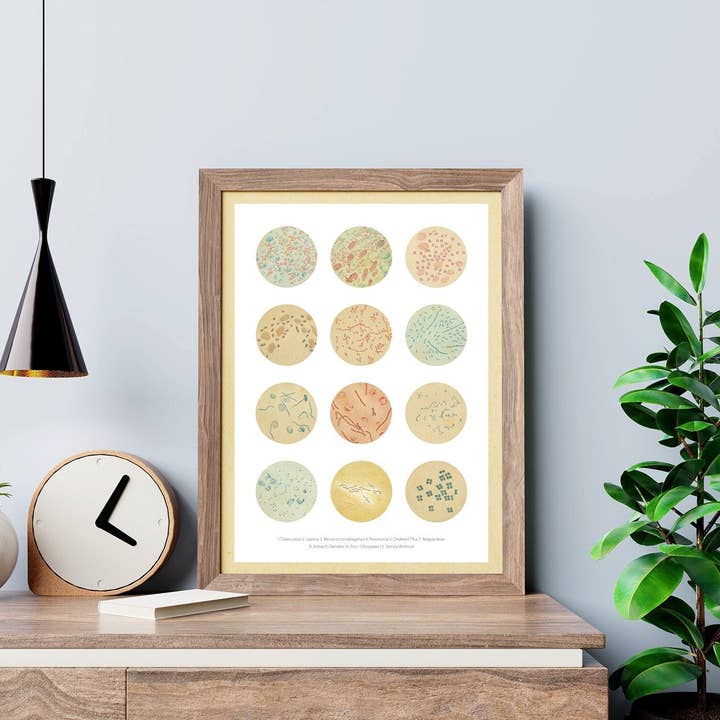 Bacteria Collection Earth Tones for wholesale by PRRINT!