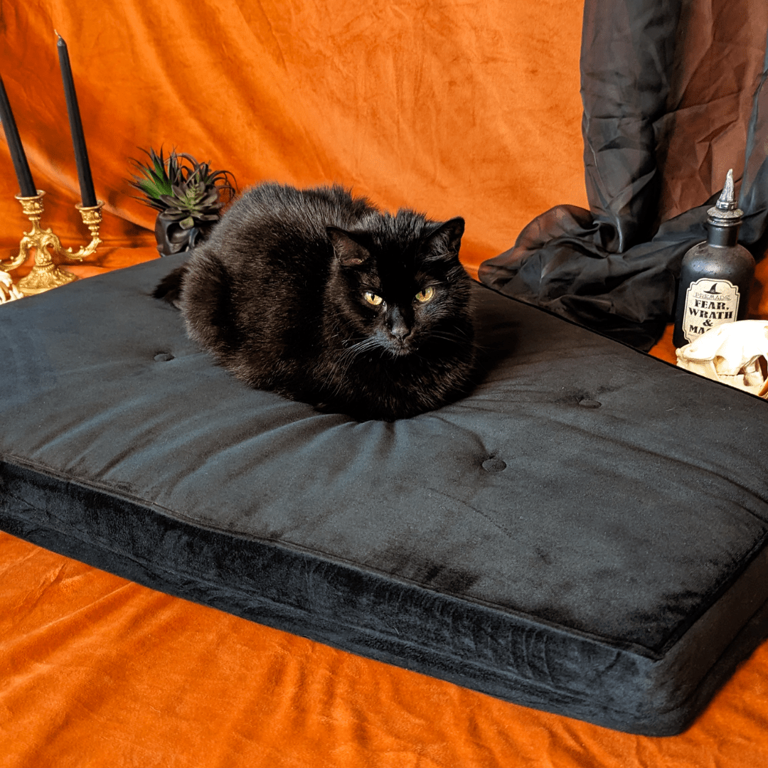 Goth Cloth Co. – wholesale Pet bed – Cat/dog – Critter Coffin - Coffin Shaped Memory Foam Pet Bed for Dogs & Cats6