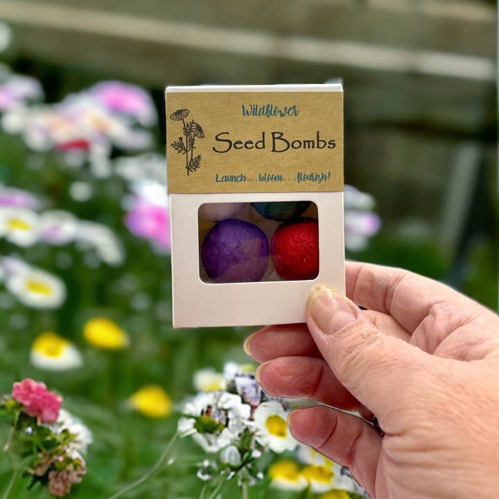 Fuschia Designs Shop - Wholesale Plant Seeds - Seed Bombs - 6 Pack - Canadian Wildflower4