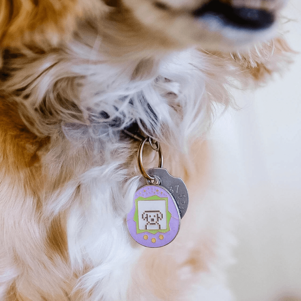 Barkada - Wholesale Halsbandlabel - Hond - Tamagotchi ID-tag voor honden en huisdieren7