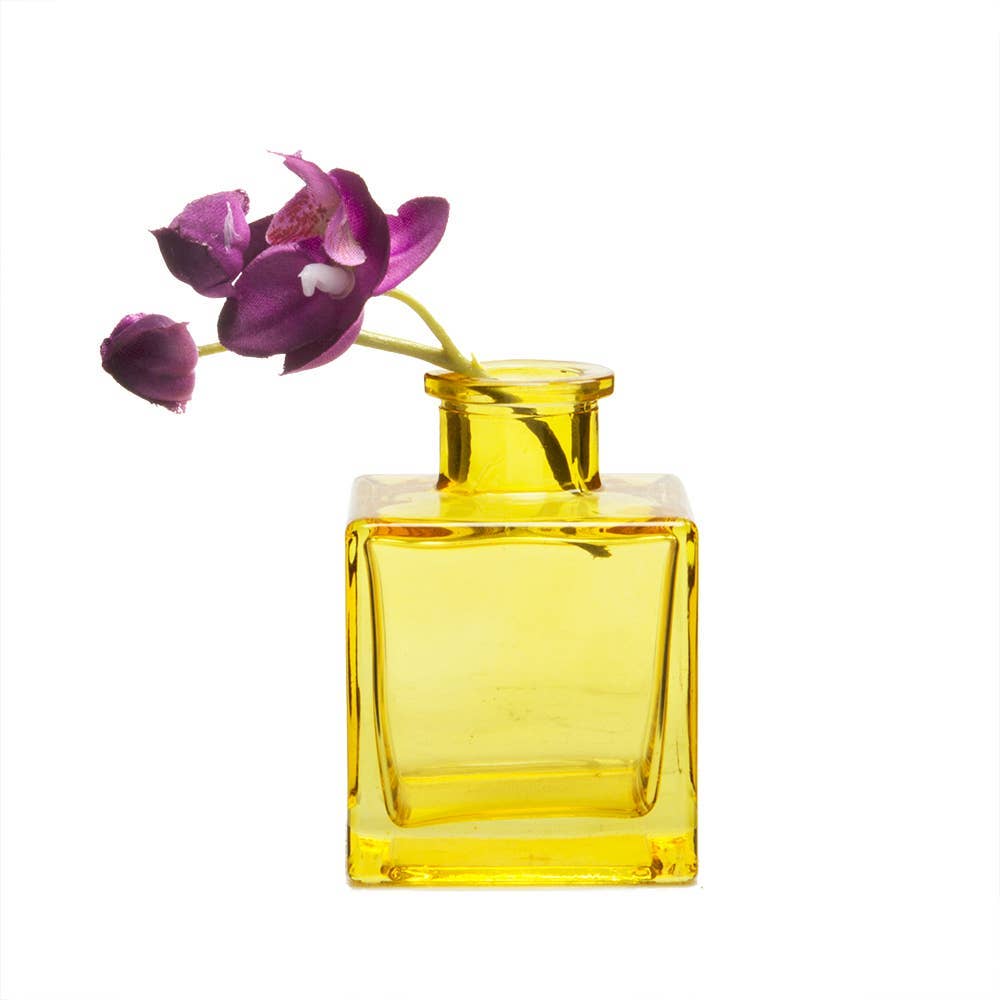 Chive UK - Wholesale Vase - Loft - Coloured Glass Apothecary Inspired Bud Vases19