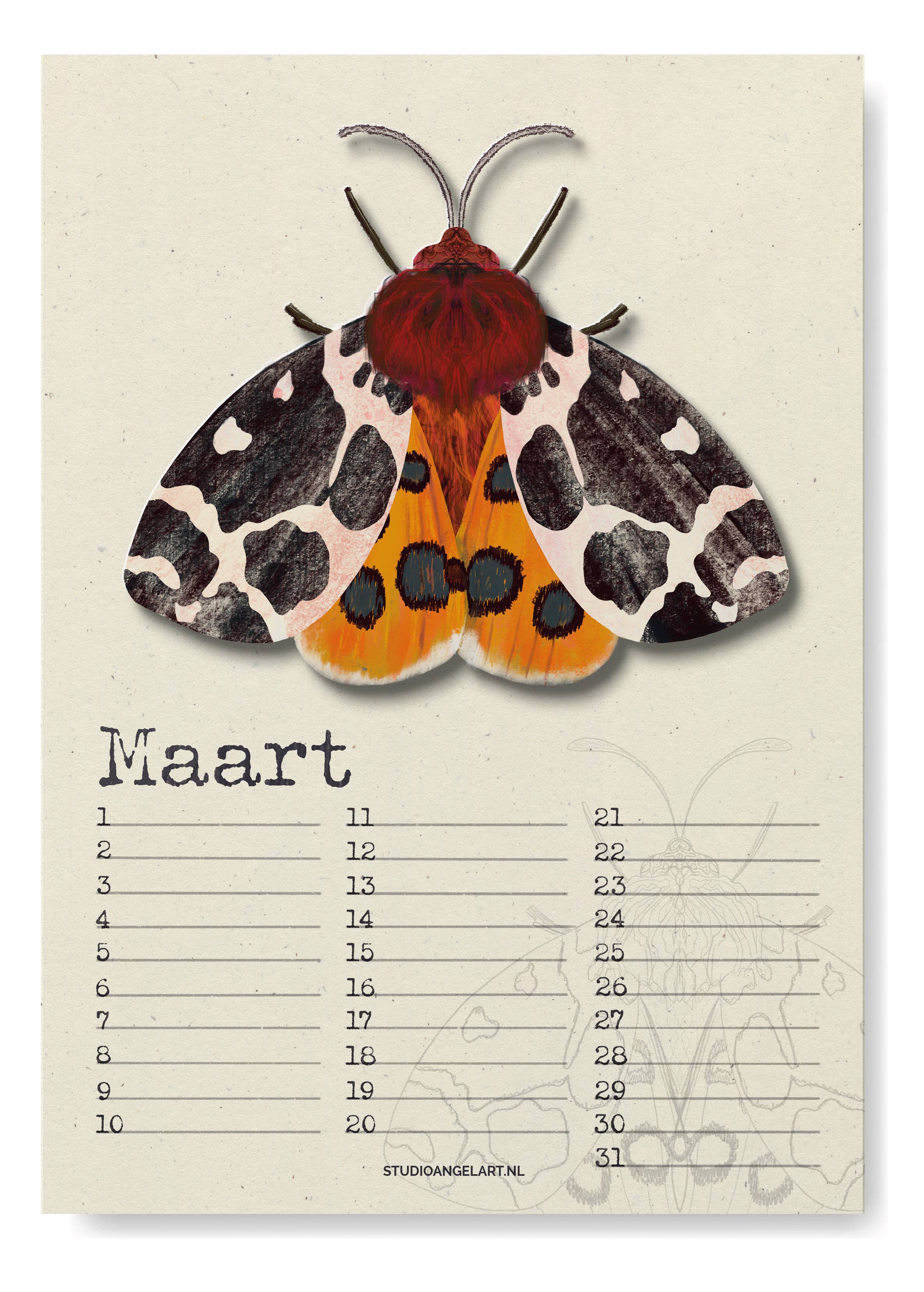 Studio Angelart - Wholesale Calendar - Birthday Calendar Night Butterflies3