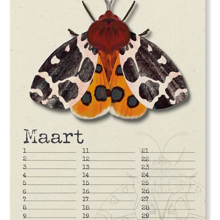 Studio Angelart - Wholesale Calendar - Birthday Calendar Night Butterflies3