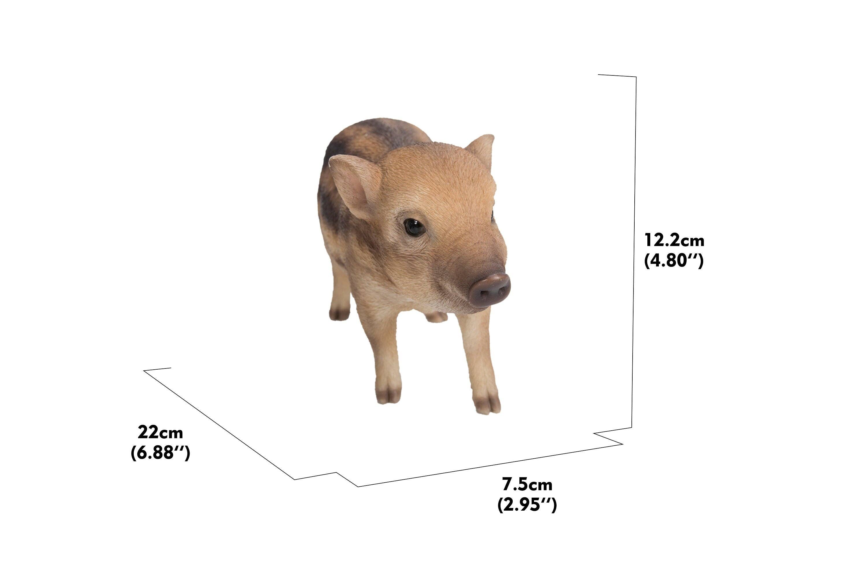 Hi-Line Gift Ltd. - Wholesale Decorative Figurine - Wild Baby Boar Standing6