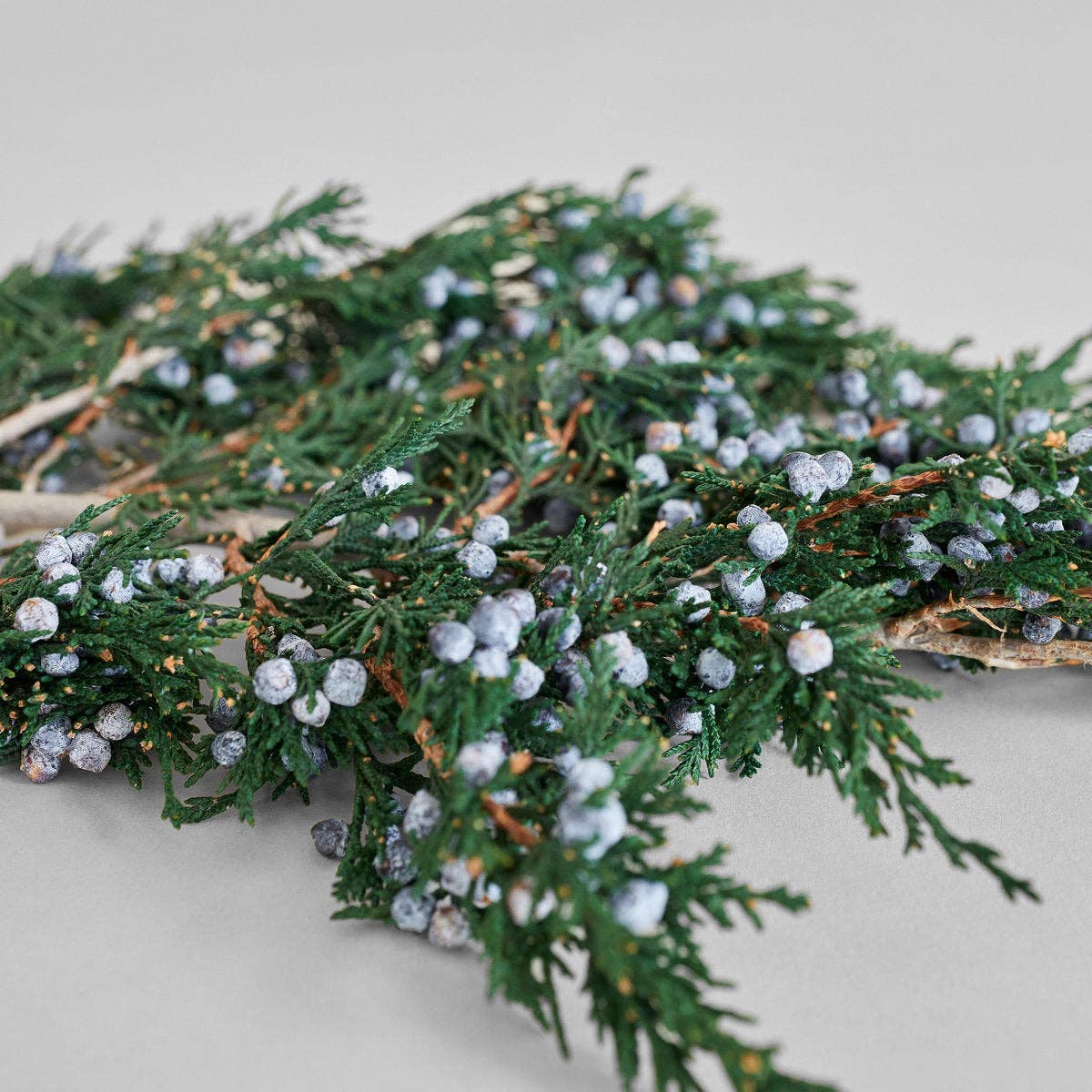 Bloomist - Wholesale Artificial Plant - Preserved Juniper With Berries4