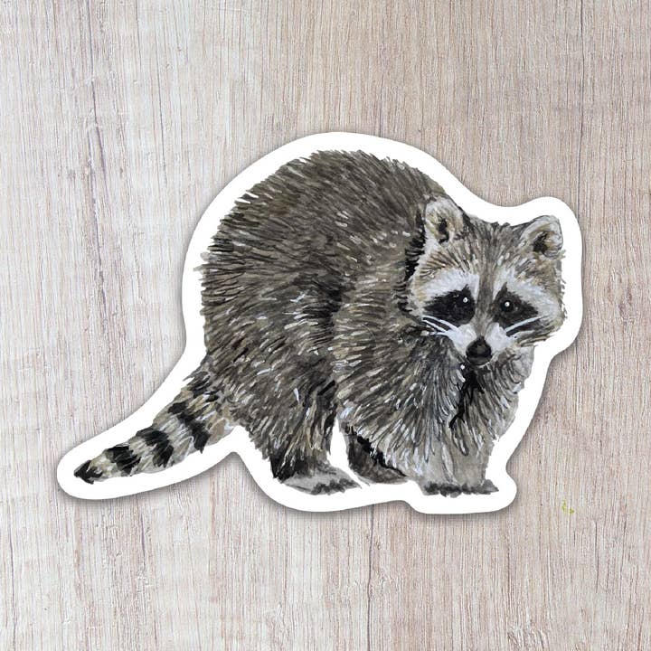 Raccoon Sticker for wholesale by Brush & Bark