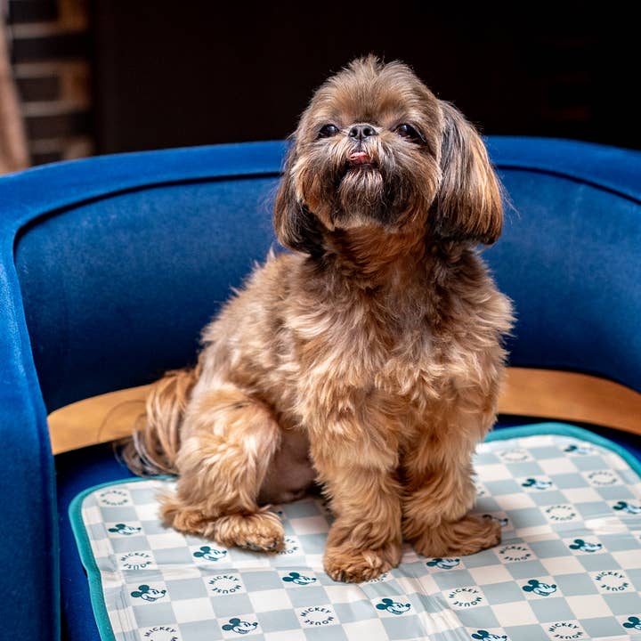 Disney Mickey Mouse Cool Pet Pad for wholesale by The Green Pet Shop