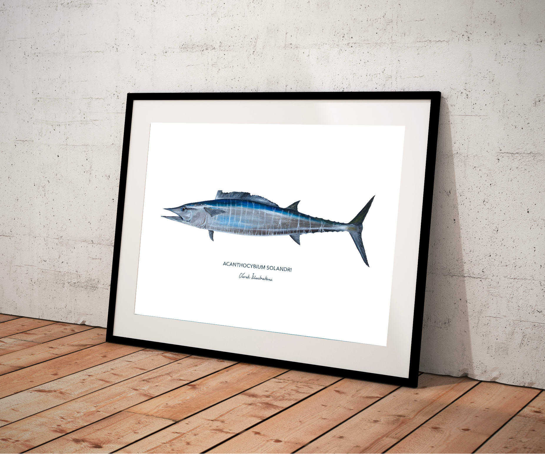 Varek Illustrations - Wholesale Art Print - Wahoo fish painting - reproduction on art paper3