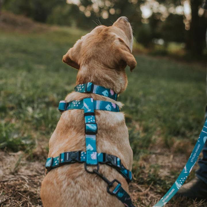 Stylish Hound - Wholesale Pet harness – Dog - Nova Explorer Chest Plate10