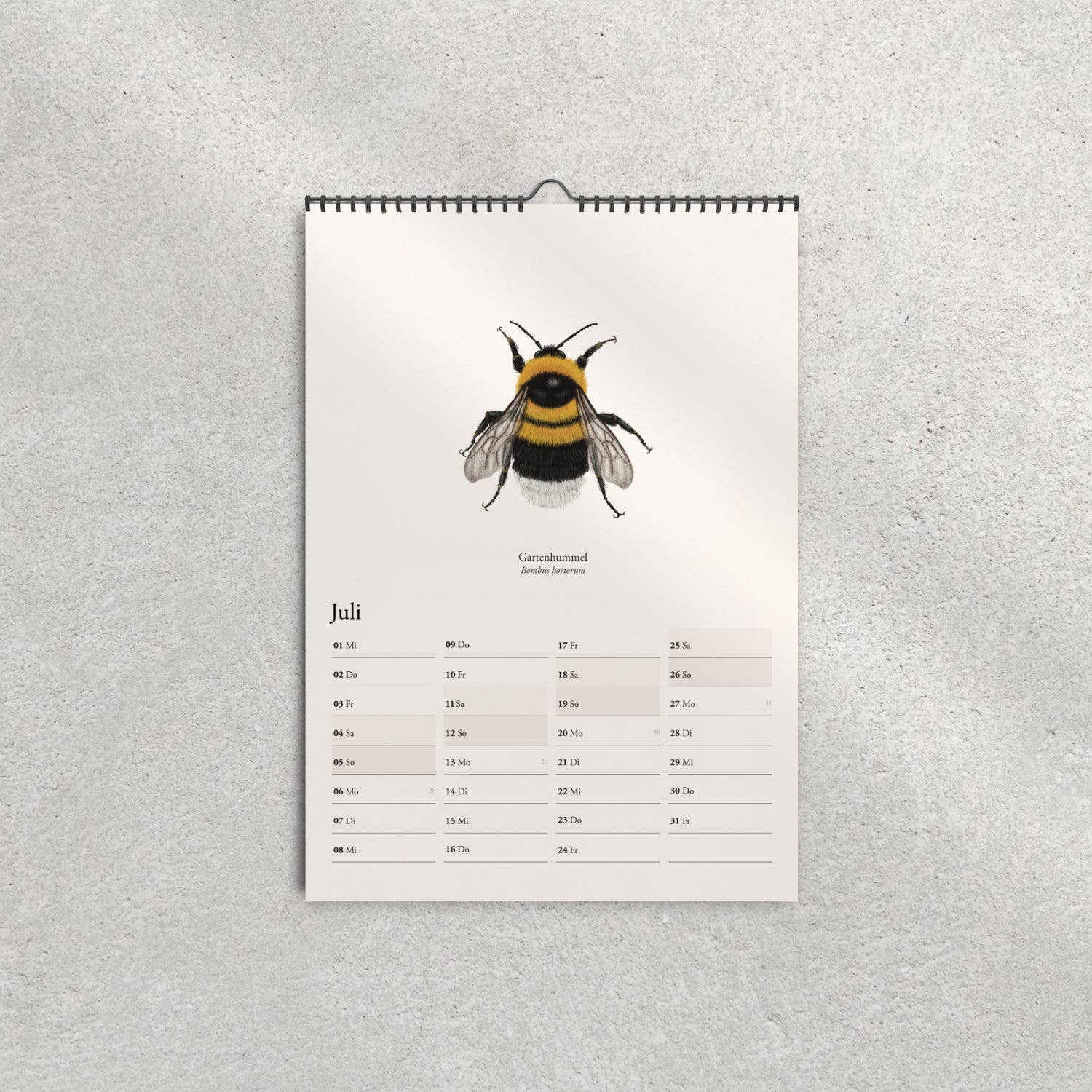 Terillu - Wholesale Calendar - Wall calendar 2026 with native bumblebees – Nature calendar in5