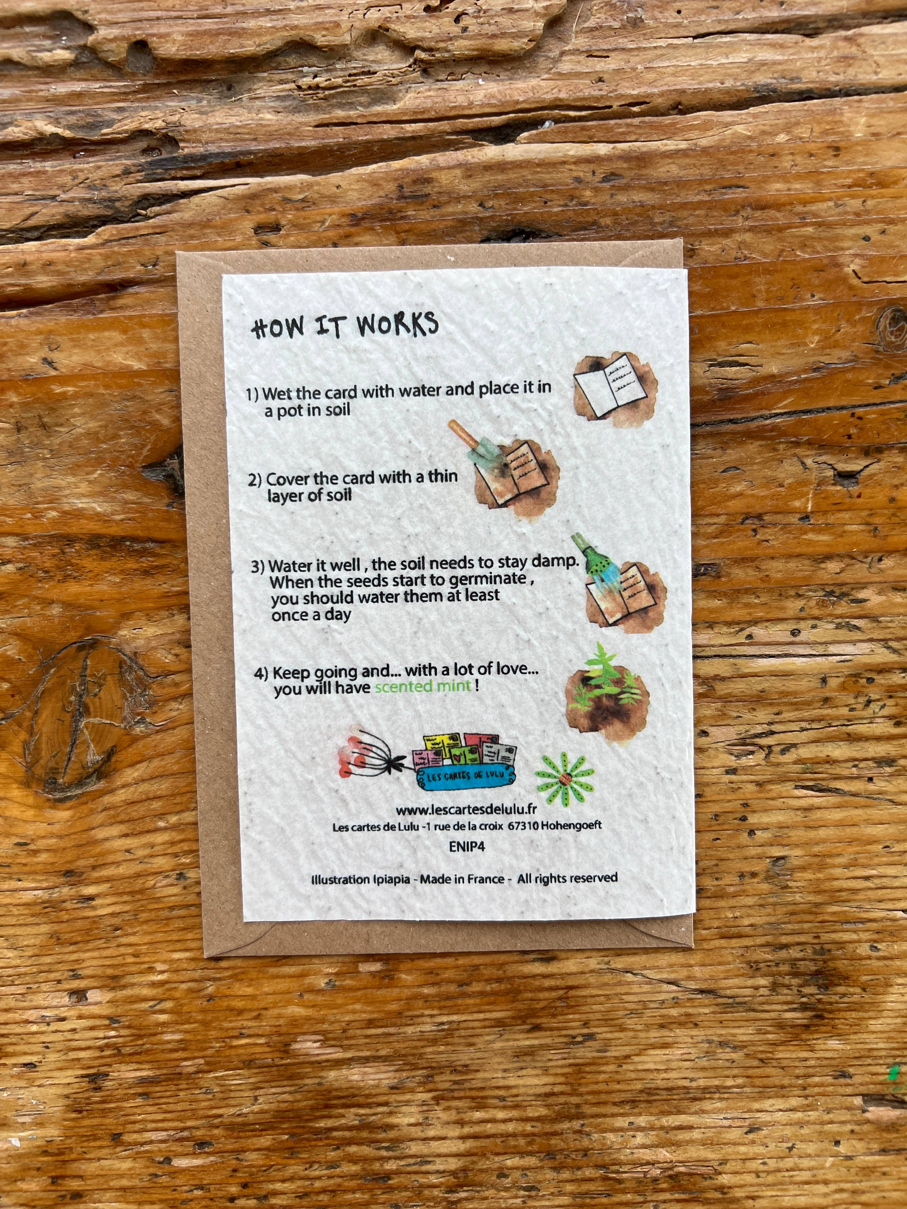 Les cartes de Lulu – Cartão de saudação diária por atacado – “Chá Menta” Seded Plant Card em inglês1