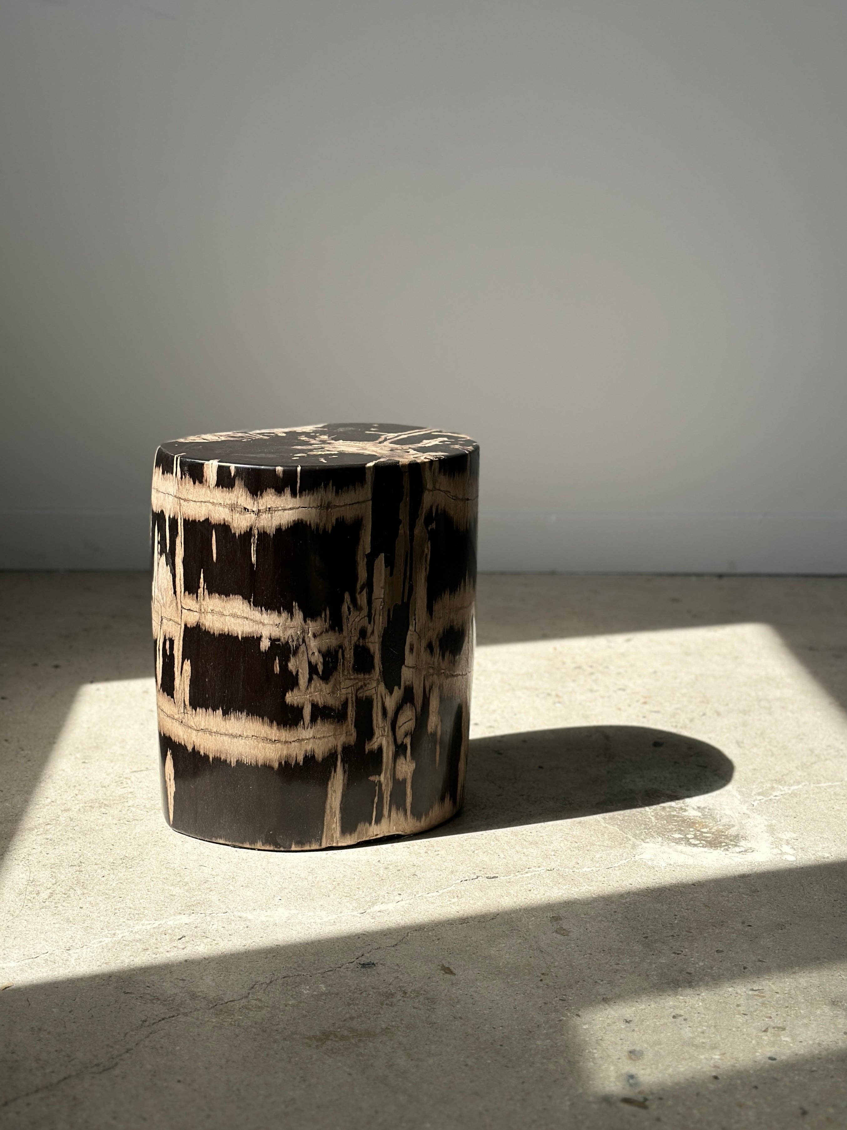 Office Objets - Vente Tables d'appoint - Table d'appoint en bois pétrifié24