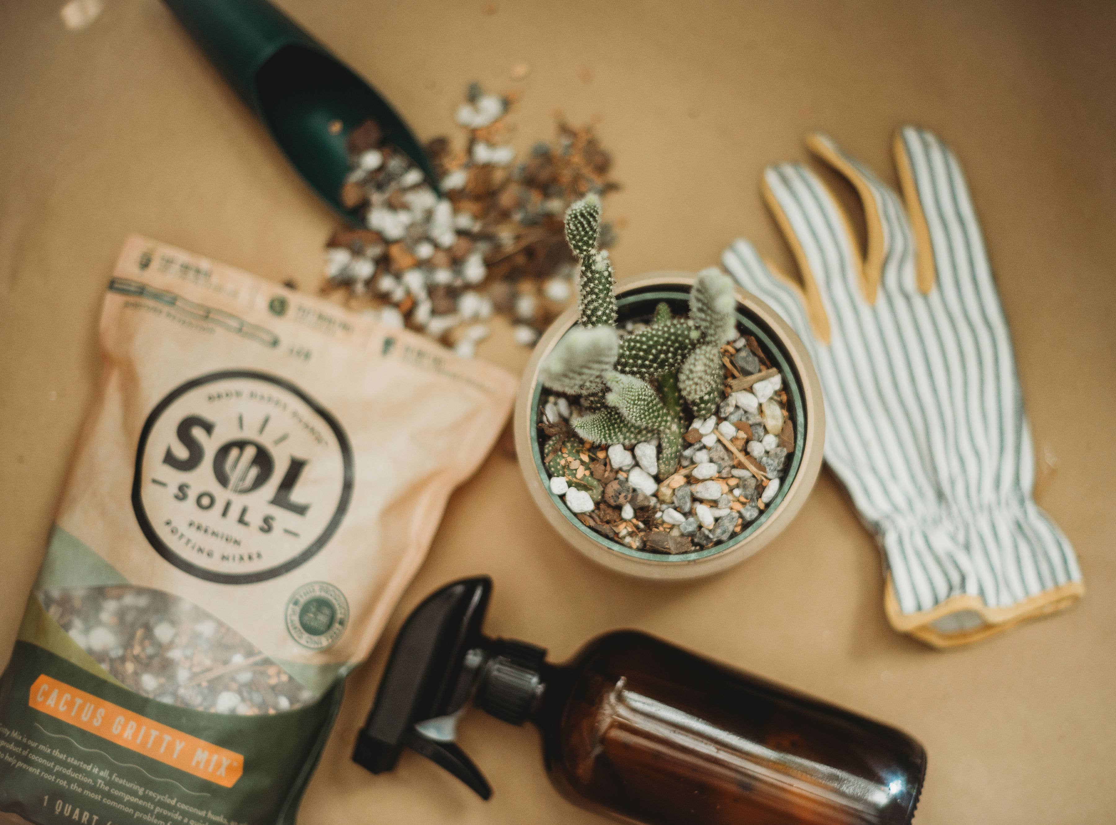 Sol Soils - Wholesale Planting/Potting Soil - Soil (1Gal) Cactus Gritty Mix9