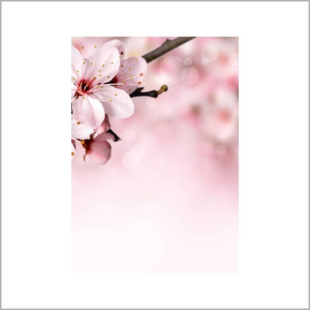 Sorgkort - 20 bitar - Blossom Blanco för wholesale av Mini Art Products