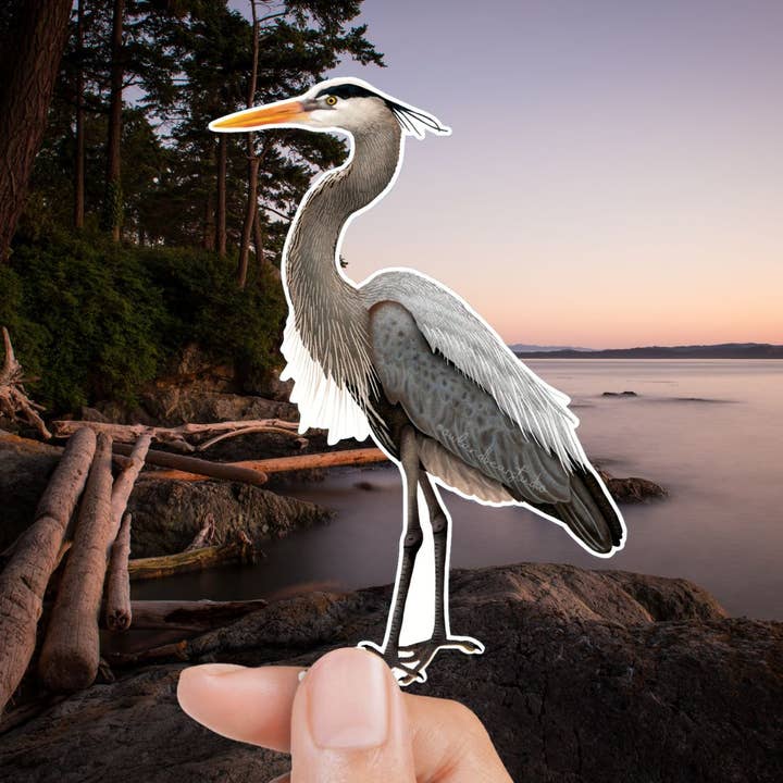 Great Blue Heron Sticker (Eco Vinyl) for wholesale by Owl & Bear Studio