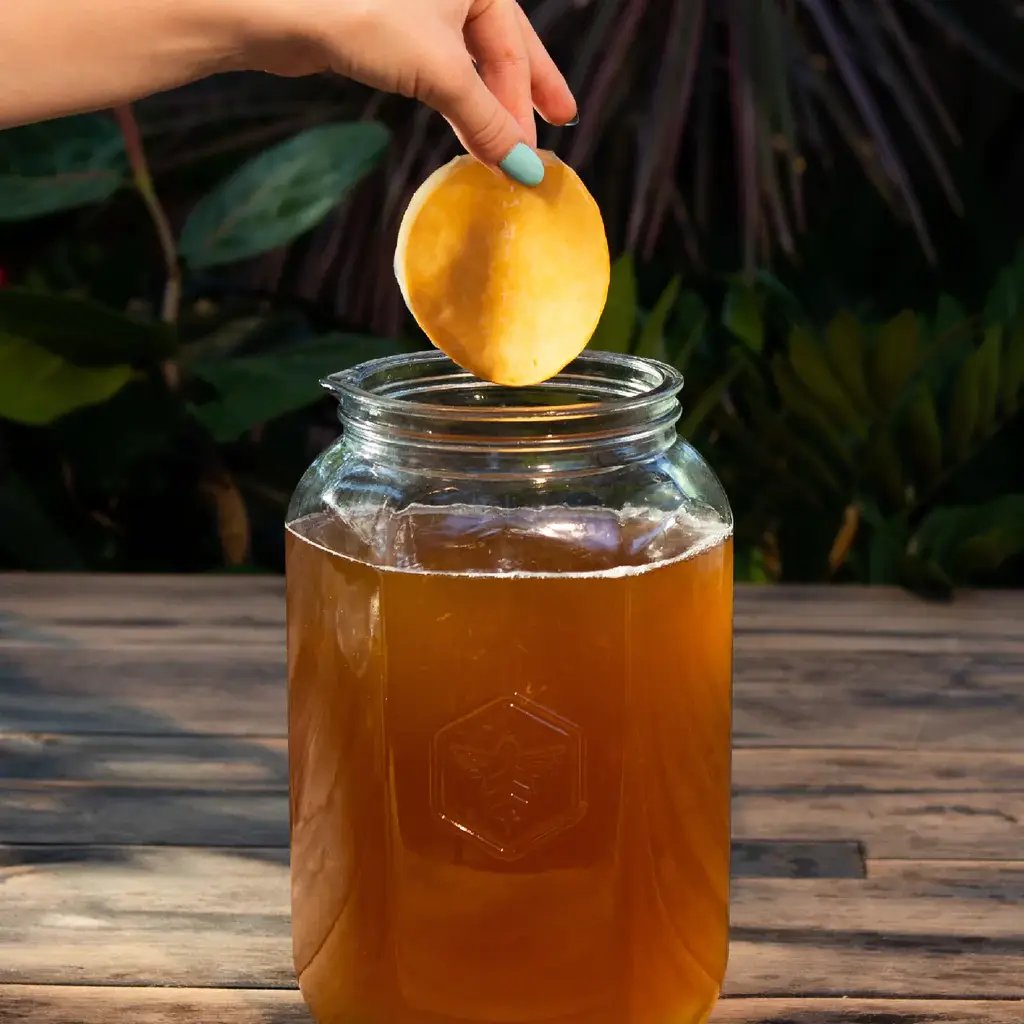 Craft a Brew – wholesale DIY drink kit – Kombucha Starter Kit6