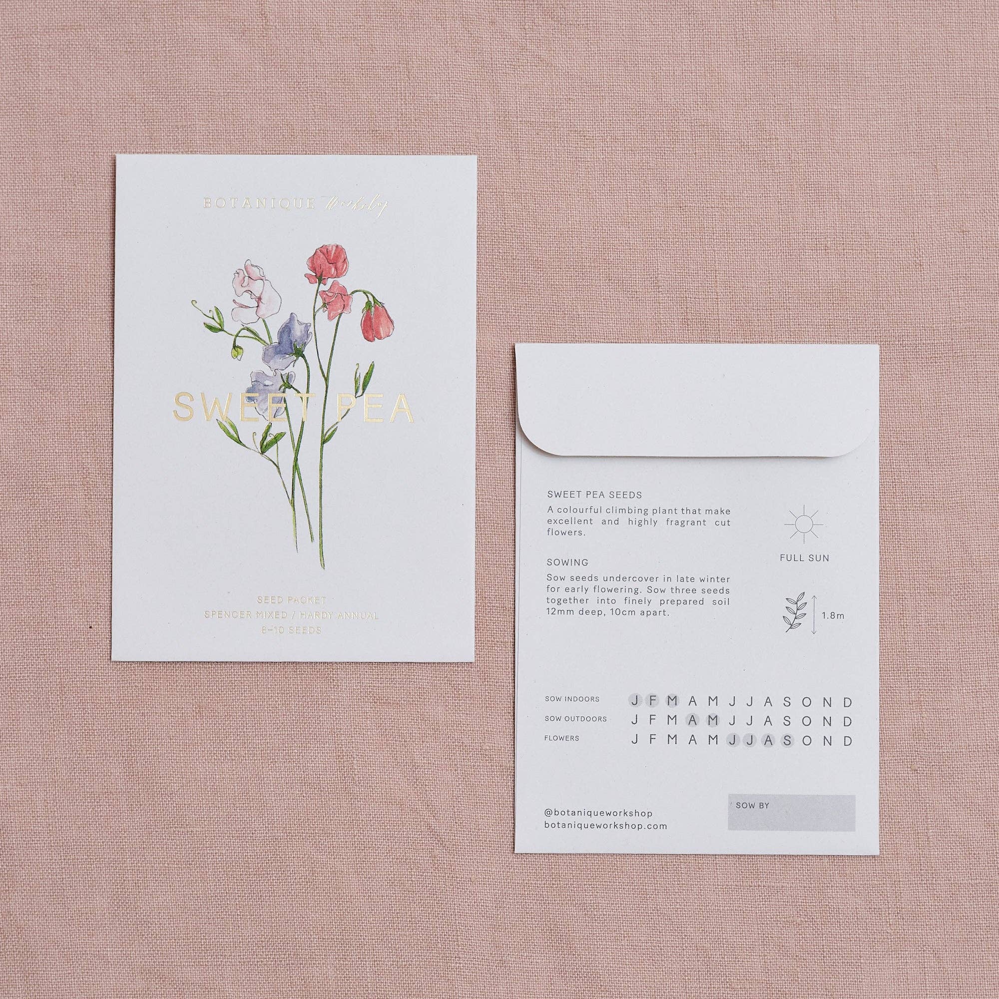 Botanique Workshop - Wholesale Plant Seeds - Sweet Pea Spencer Mixed Seed Packet1