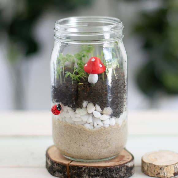 Mini Garden for wholesale by Poppy & Daisy Designs