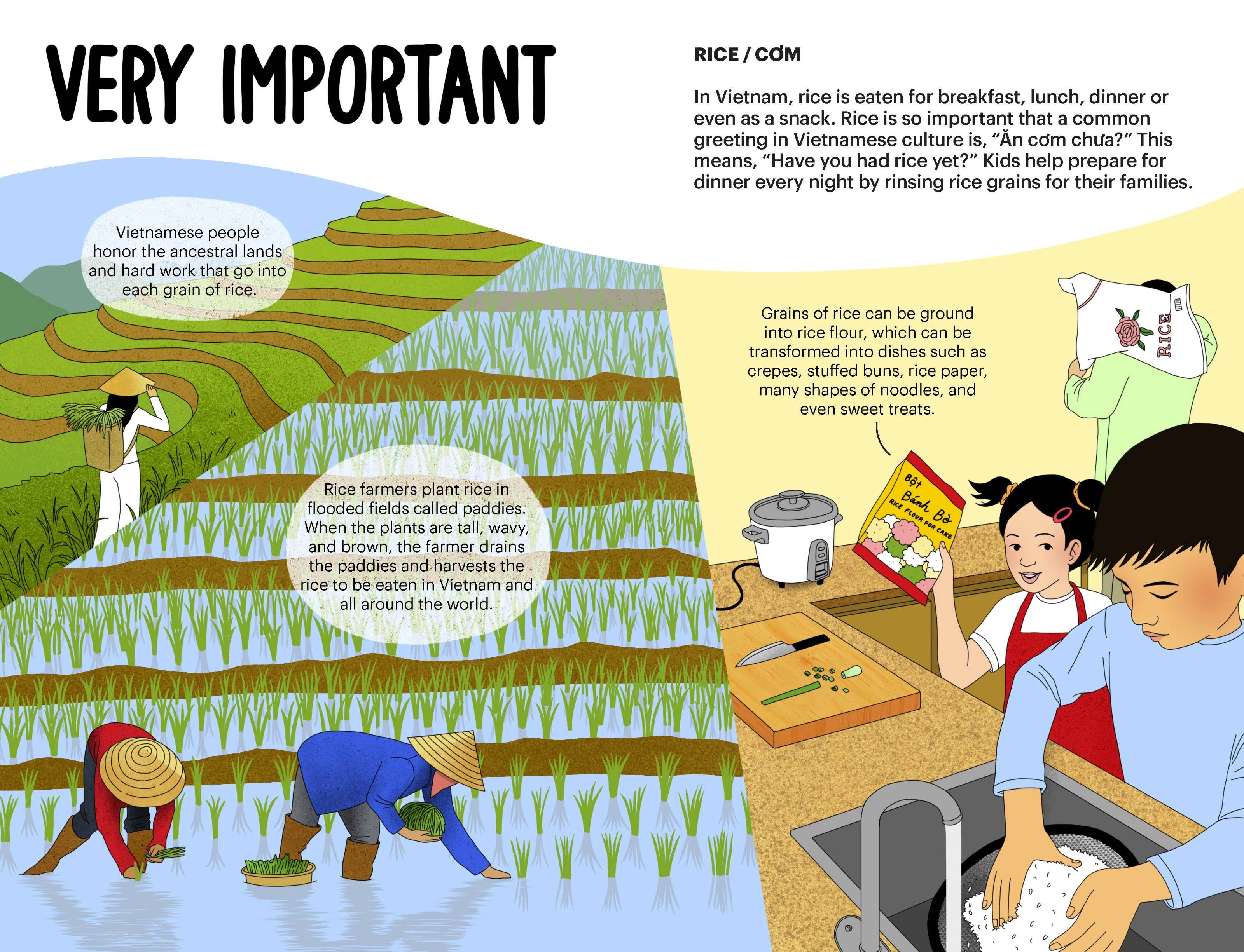 Gloo Books - Wholesale Cookbooks & Food - A Very Asian Guide to Vietnamese Food: Picture Book-Ages 3+10