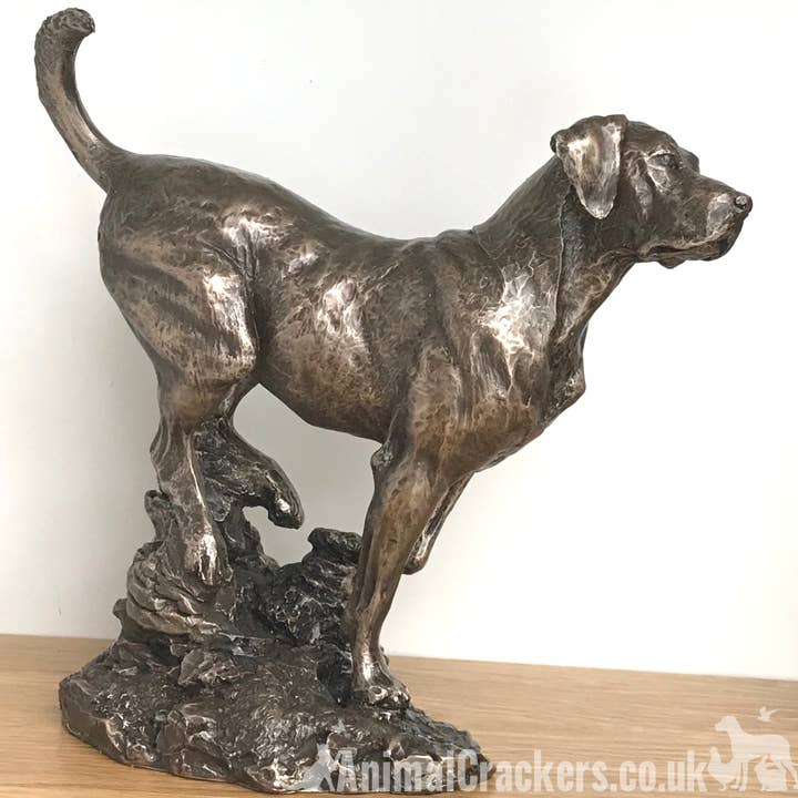 Large heavy weight Bronze Labrador sculpture designed by David Geenty for wholesale by Animal Crackers