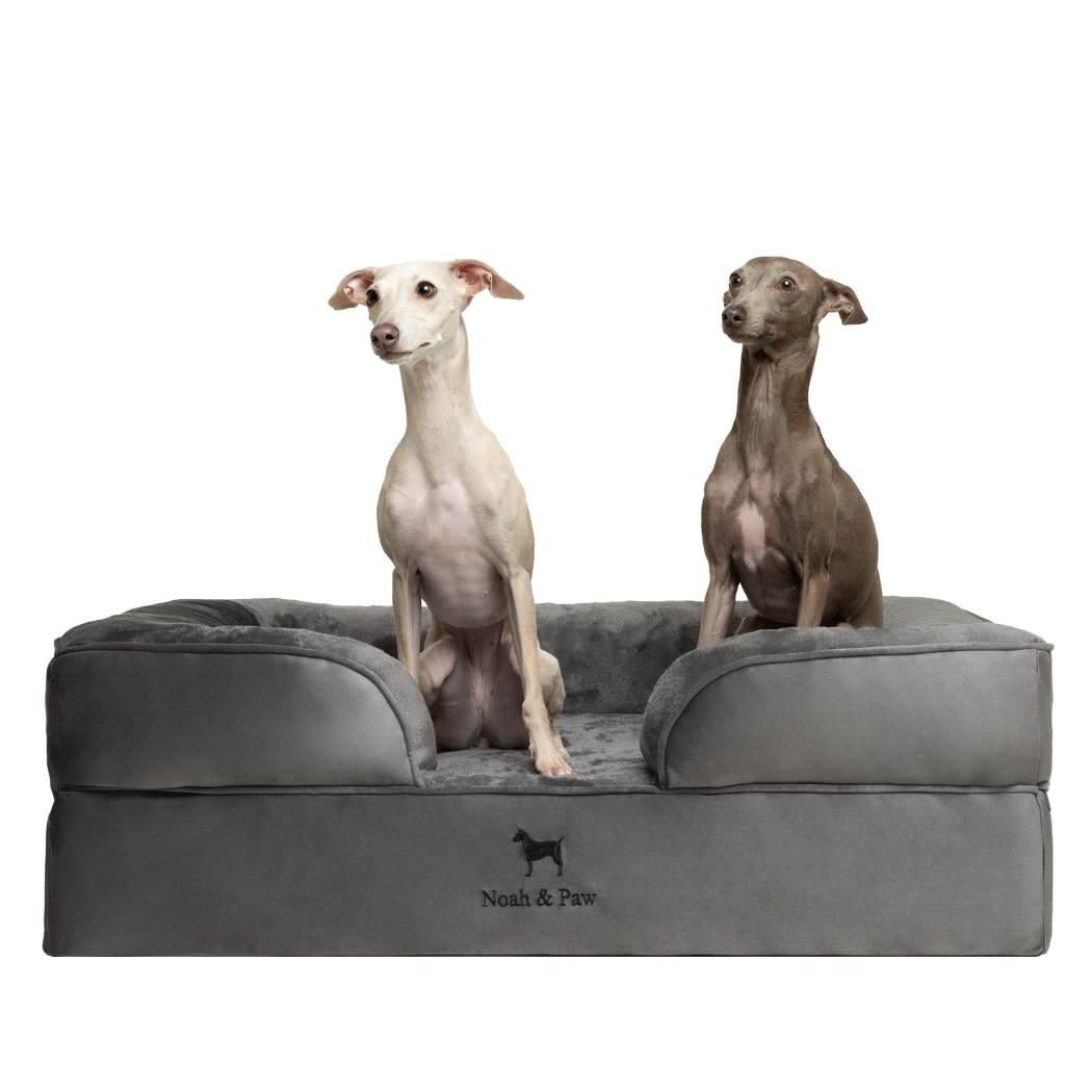 NOAH AND PAW LLC - Wholesale Bed voor huisdieren- Kat/hond - Velvet orthopedisch hondenbed met memoryfoam en verkoelende gel17