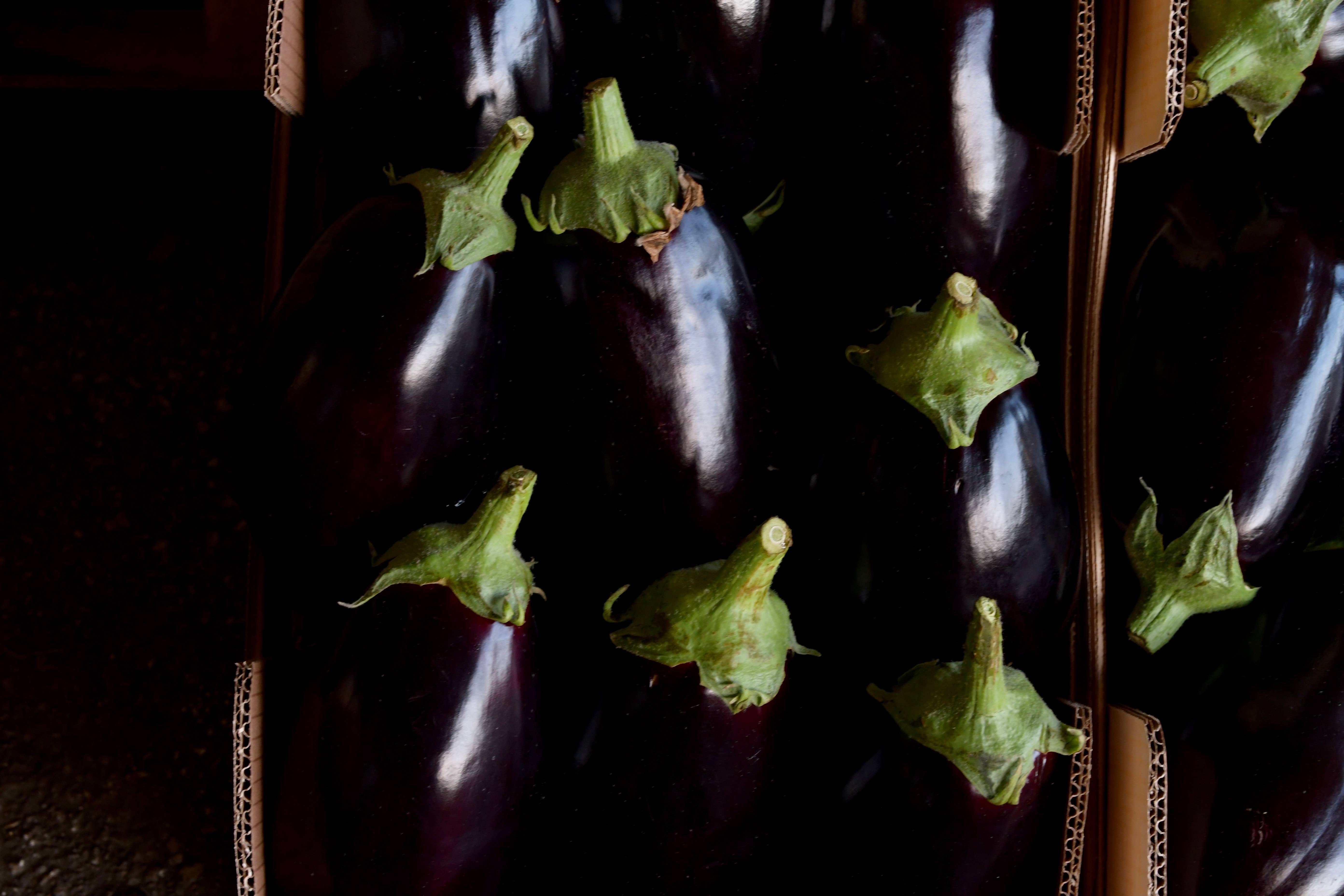 almasicily - Wholesale Sauce - Sicilian Aubergine Caponata With Almonds Vase 240g7