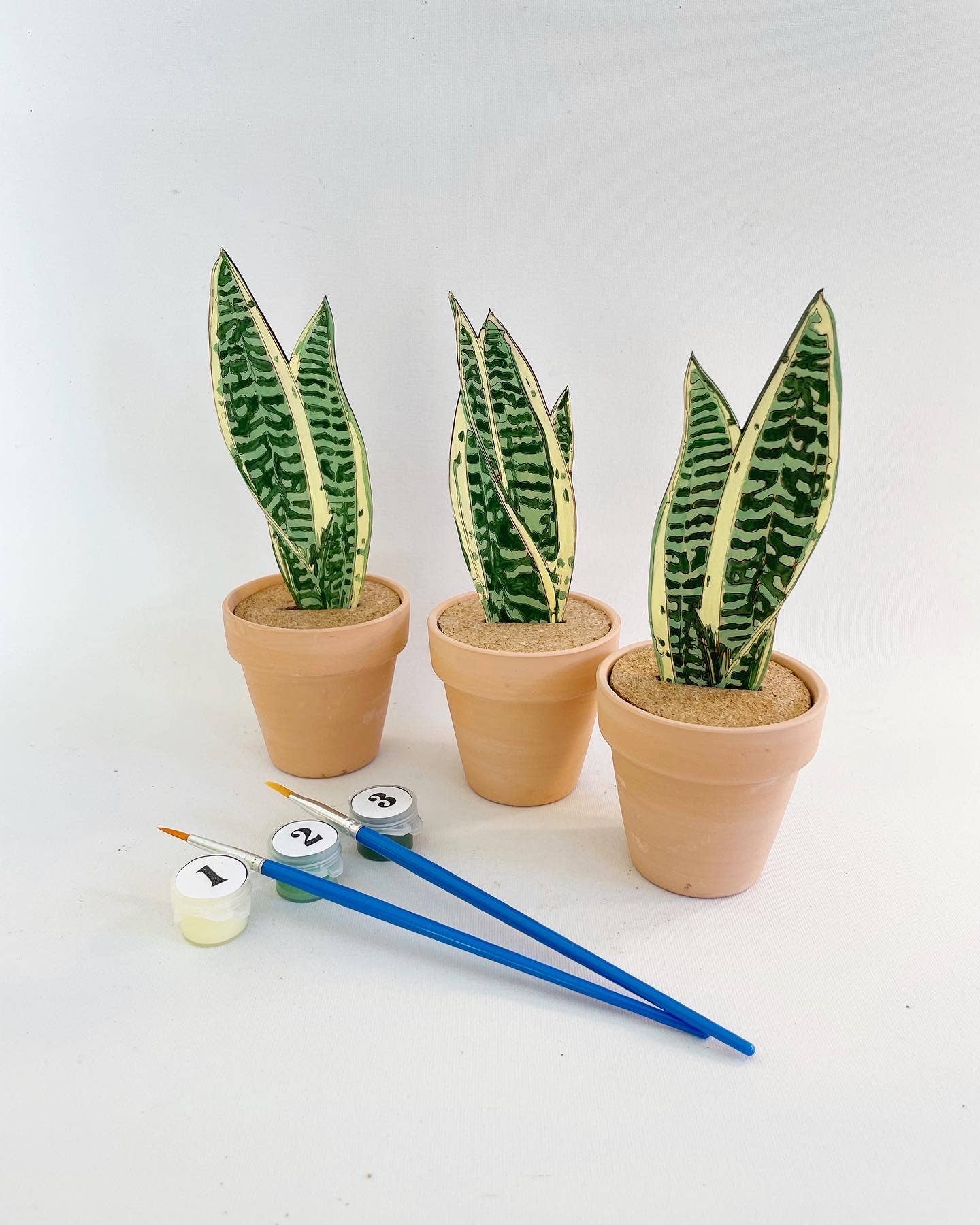 Dainty Little Tiny Things - Wholesale DIY Craft Kit - Paint Your Own: Snake Plant3