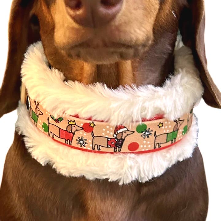 Jultaxar - Handgjord fluffig Biothane hundkrage - 25mm för wholesale av Puppies & Pom Poms