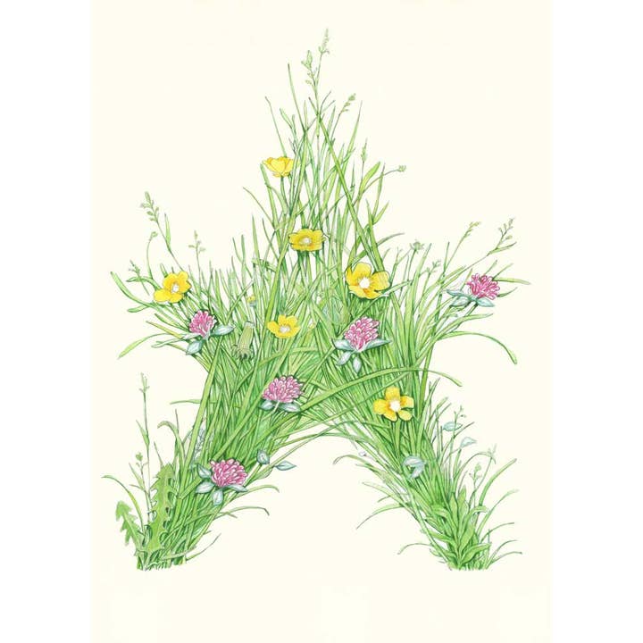 The DM Collection ( We cover US import Duties) – wholesale Everyday greeting card – Grass Star - Greetings Card1