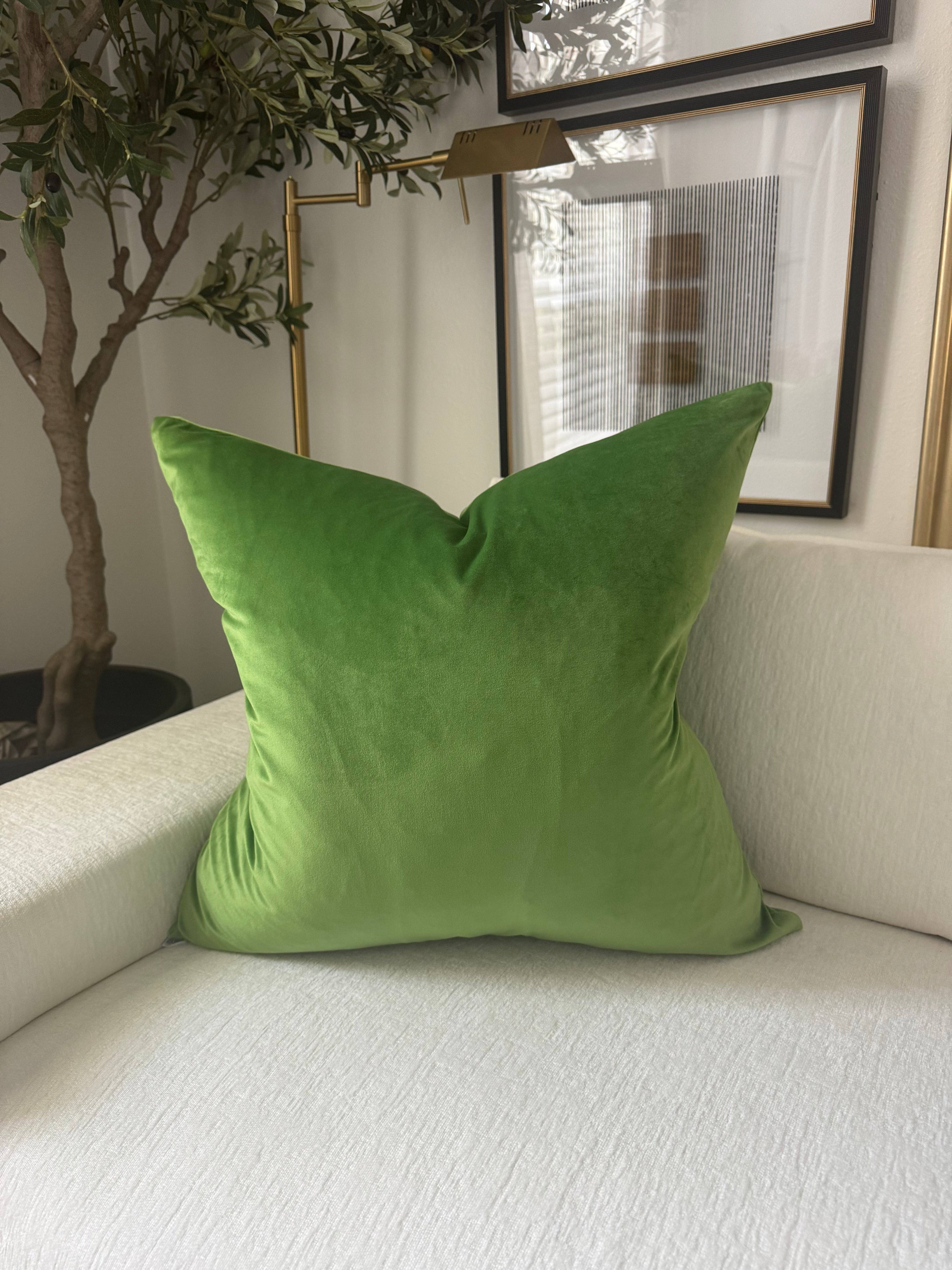 Visually Rich Home - Wholesale Throw/Decorative Pillow - Kelly Green Velvet Pillow4