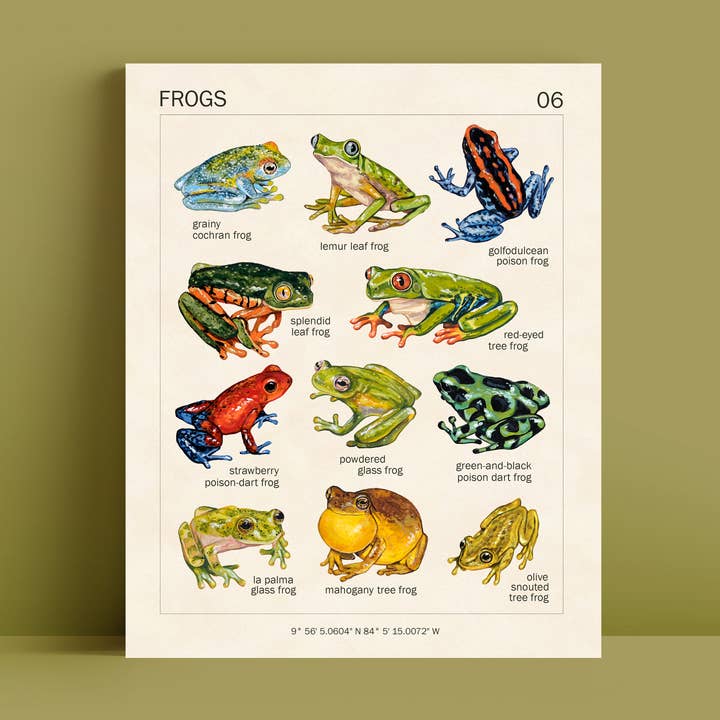 Frog Art Print | 8x10'' | Amphibians Botanical Wall Art for wholesale by Doro Marcello