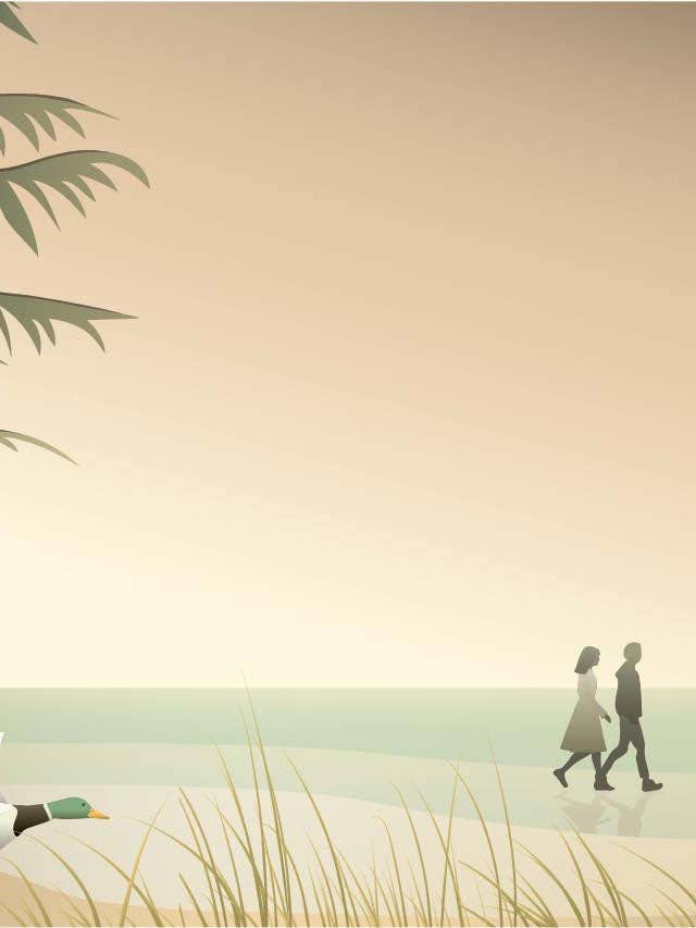 WALK AND TALK - poster for engroshandel hos ViSSEVASSE