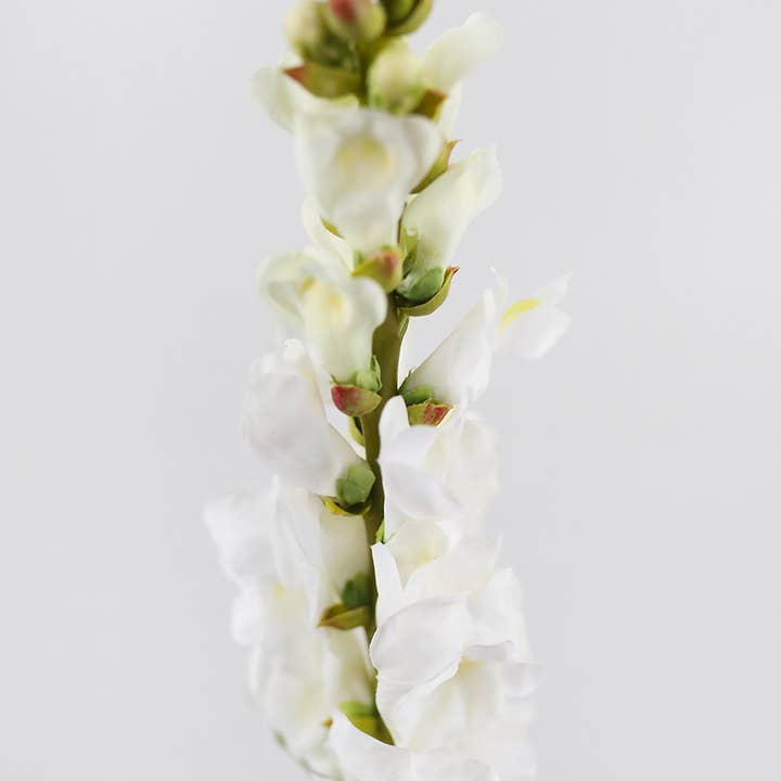Prestige Botanicals - Wholesale Artificial Flowers - Real Touch Cream White Snapdragon 23”4