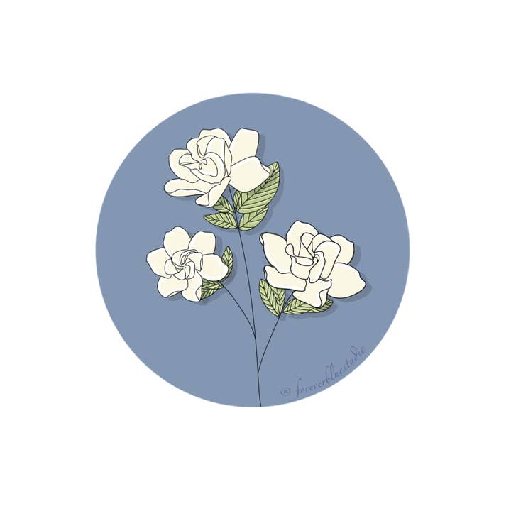 Gardenia for wholesale by Forever Blue Studio