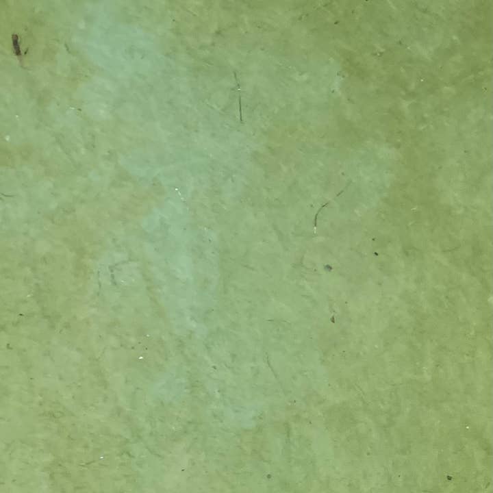 Giftsland - Wholesale Flat Wrap - 55 GMS solid lokta, olive green