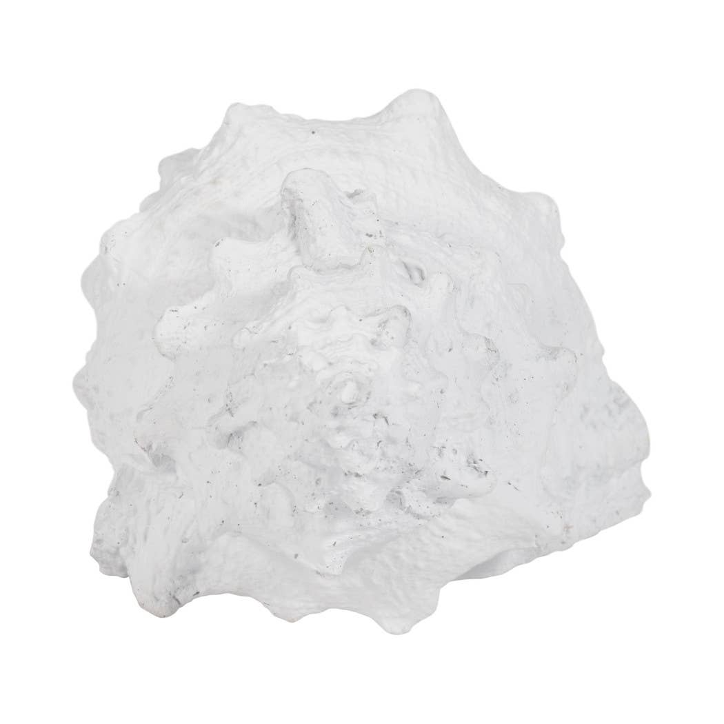 Sagebrook Home - Wholesale Decorative Figurine - Figurine - White Resin Coastal Solid Conch Shell, 10 in.8