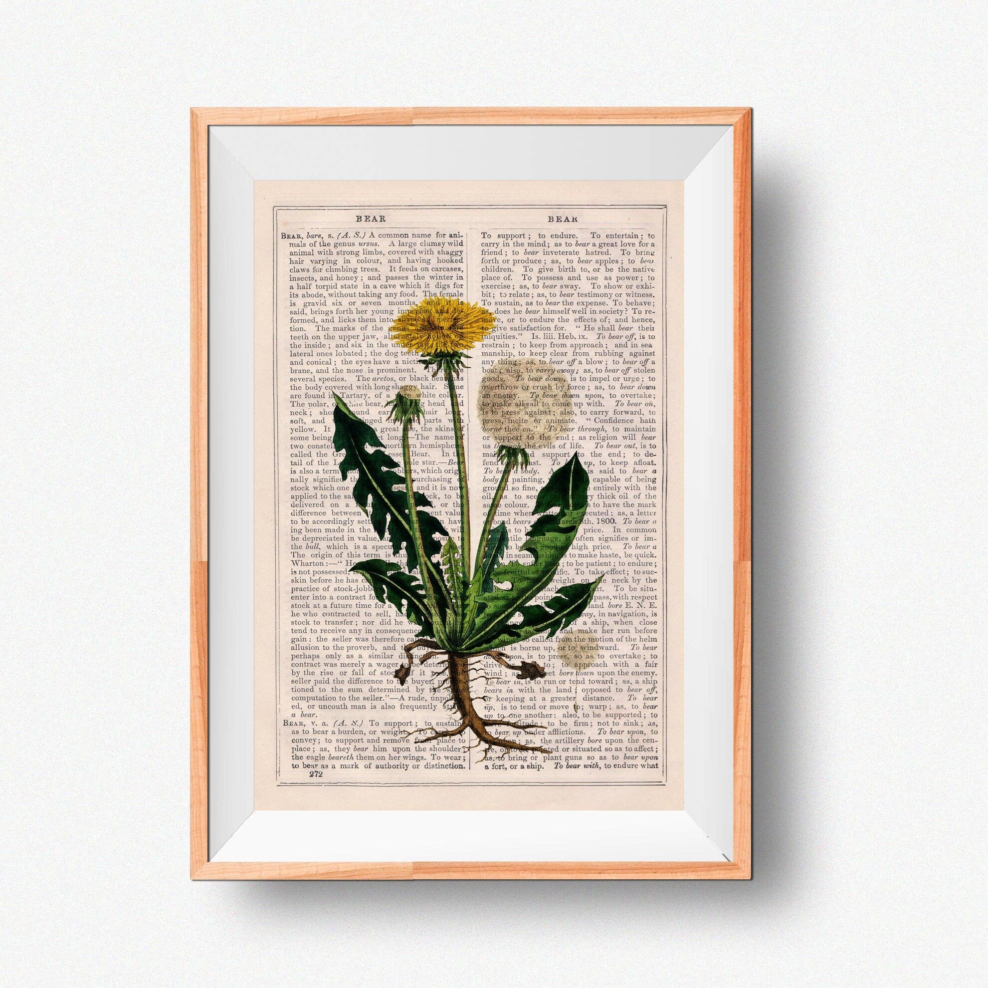 PRRINT! - Wholesale Art Print - Dandelion Wild Plant3