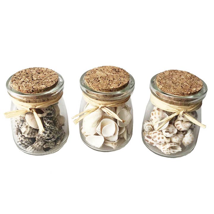 CB Home Collection - Wholesale Decorative Tabletop Object - 3" Mini Glass Jars of Shells - 3 Assorted