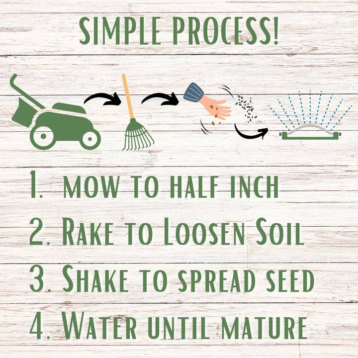Flawn Seed Kits - Wholesale Plant Seeds - Tri-Colored Clover Seed Mix Compostable Hanging Pouches