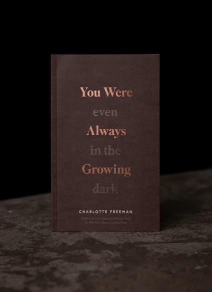 Thought Catalog - Wholesale Self-Help & Personal Development - You Were Always Growing (Even In The Dark) - book2