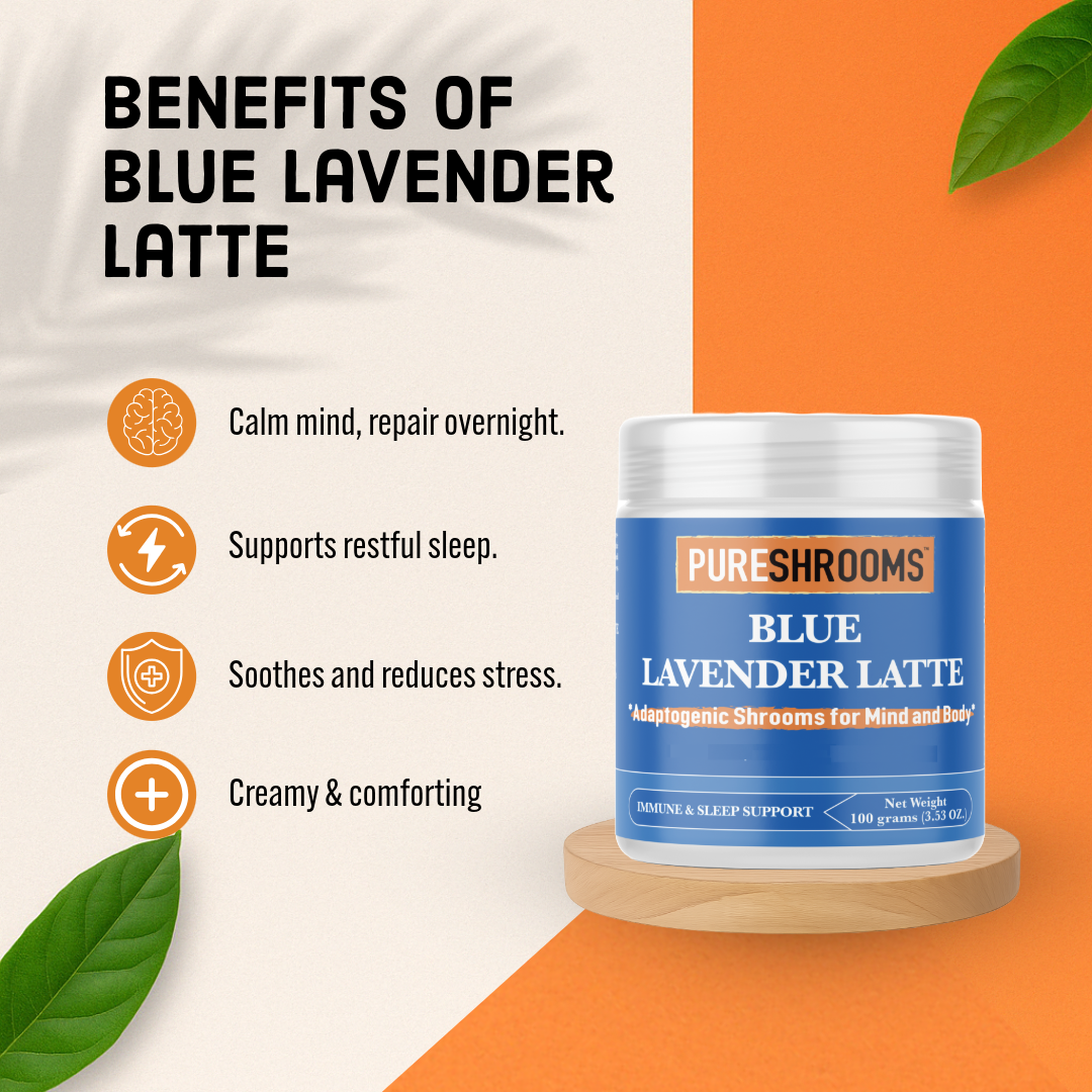 PureShrooms Inc. - Wholesale Protein/Superfood Powder - Blue Lavender Latte with Blue Spirulina 100g/30 Servings3