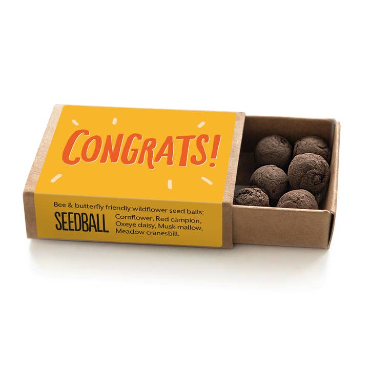 Seedball – wholesale Plant seeds – Occasions Seed Boxes (pack of 10)
