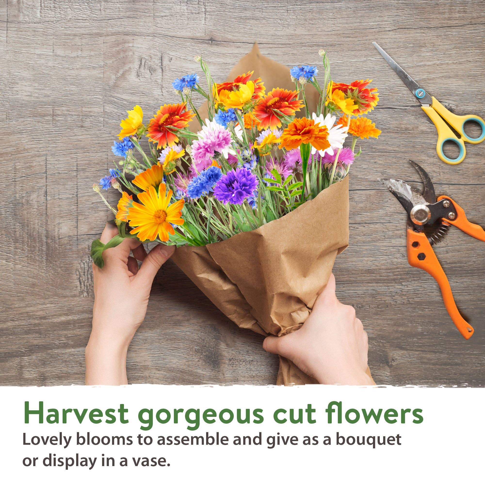 Homegrown Garden - Wholesale Plant Seeds - 10 Annual Flower Seeds Packets with Wildflower Seeds6